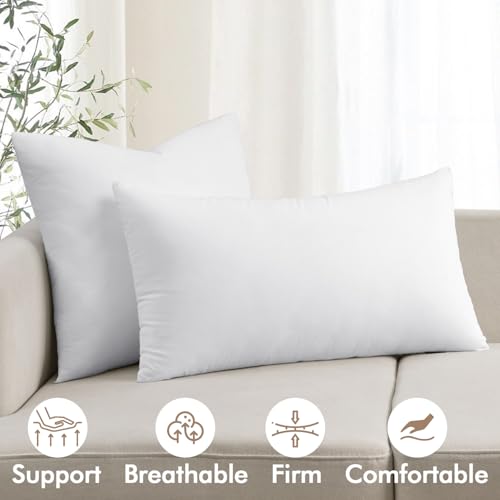 MIULEE 12x16 Inch Premium Lumbar Throw Pillow for Bed Sofa Couch Virgin Microfiber with 100% Cotton Cover Decorative Throw Pillow Insert Stuffer Form