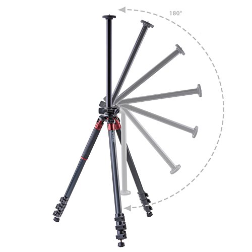 3Pod Orbit 4-Section Carbon Fiber Tripod, Bundle With Q3 Fluid Video Head #TOP2