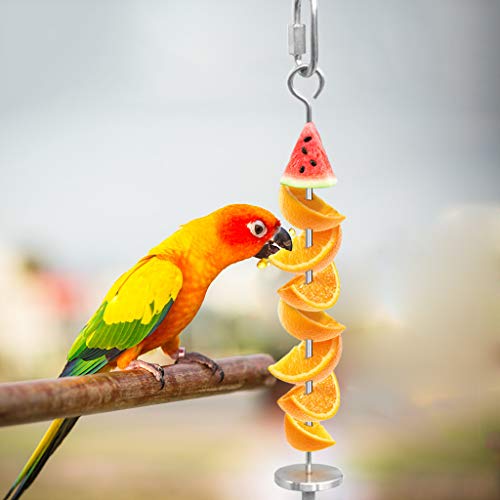 Wpmlady Bird Food Holder, Bird Feeders, Stainless Steel Parrot Fruit Vegetable Stick Holder, Foraging Toy, Bird Treat Skewer, 2 Pack - Thumbnail 6