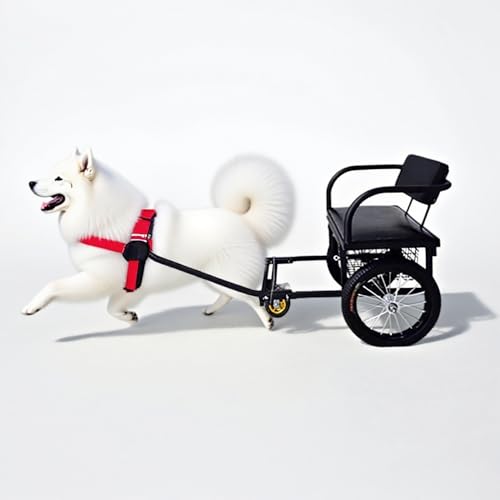 Hundezugwagen mit Sitz, Längerer abnehmbarer Hundeanhänger für 10-60kg (22-132lb) Kleine/Mittelgroße/Große Hunde, mit Zugriemen für Outdoor-Camping/Reisen(Size:40-60kg (88-132lb),Color:Große Hunde)
