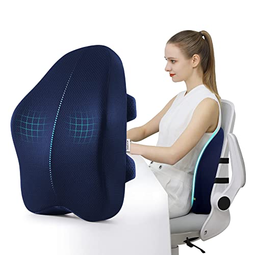 Lumbar Support Pillow for Office Chair Back Support Pillow for Chair Car Seat Back Support Ergonomic Back Chair Pillow Desk Chair Back Cushion for Back Pain Back Rest Pillow Lumbar Back Support( Blue)