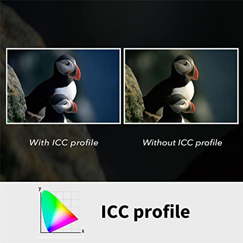 Plustek Opticfilm 8100-35Mm Negative Film/Slide Scanner With 7200 Dpi And 48-Bit Output. Bundle Silverfast Se Plus 8.8, Support Mac And Windows #TOP7