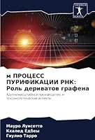 м ПРОЦЕСС ПУРИФИКАЦИИ РН 6205265265 Book Cover
