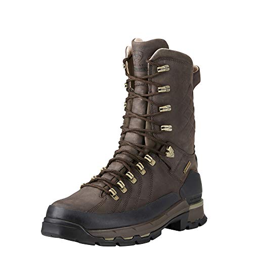 Ariat Men's Catalyst Defiant 10' Gtx 400G Work Boot, Bitter Brown, 12 D US