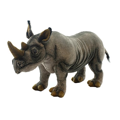 nT(HANSA) NTC No.5247