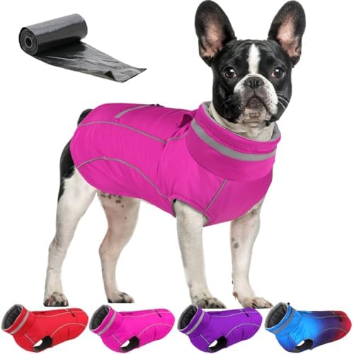 Doglay Waterproof Dog Coat, Reflective Dog Winter Jacket with Pocket & Turtleneck, Warm Puppy Snow Jacket for Small Medium Large Dogs - Pink, XS