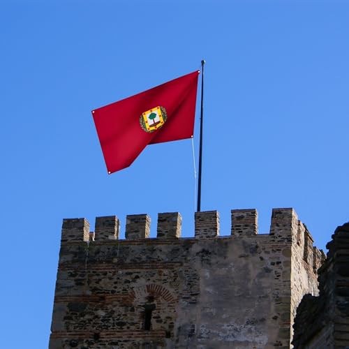 Runesol Vizcaya Flag, 91x152cm, 3ft x 5ft, 4 Grommets, Eyelet In Every Corner, Spanish Regional Flag, Biscay - Image 3