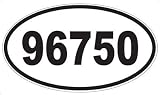 US Decal, Inc. Number 96750 Oval Sticker