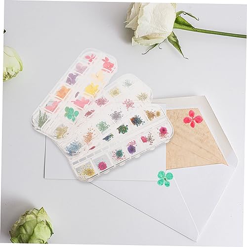 Flores naturales secas para manualidades DIY, set 3 cajas miniatura 3