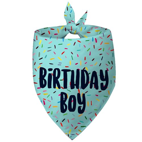 a j̎q  o_i 1 pbNAu[ o[Xf[ hbO XJ[tAHBD ybg XJ[t a j̎q p[eB[ o_i ^ђ^p(u[AS)