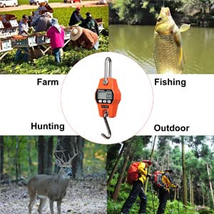 Reshy Digital Hanging Scale 660Lb/300Kg Cast Aluminum Case Waterproof Fish Scale Handheld Crane Scale Luggage Scale For Garage Farm Hunting Fishing Outdoor(Orange) #TOP6