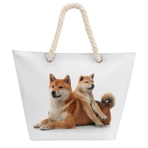 [ESISAMT] Č   fB[X e  |  2way t@Xi[t  JWA A ʋ ʊw o s 蕨