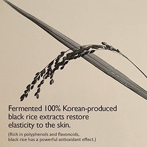 Haruharu Wonder Black Rice Hyaluronic Toner 5.1 Fl.oz / 150Ml | Face Moisturizer, Facial Toner For All Skin Types | Vegan, Cruelty Free, Ewg-Green #TOP2