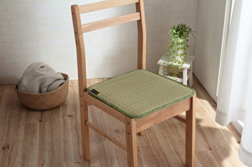 イケヒコ コーポレーション い草 クリア クッション ひも付き 抗菌防臭 消臭 シンプル 小林製薬コバガード使用 約40×40cm グリーン #3281909