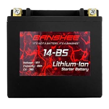 BATTERY　Harley-Davidson　MTX20-BS Amazon.com: Mighty Max Battery YTX20L-BS GEL Battery for