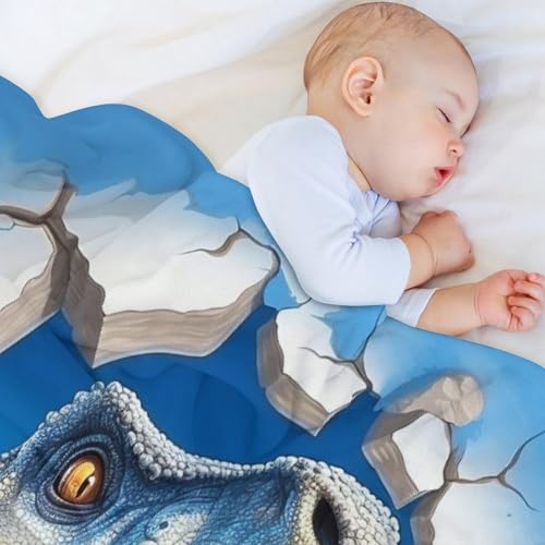 Couverture polaire dinosaure en flanelle douce haute densité