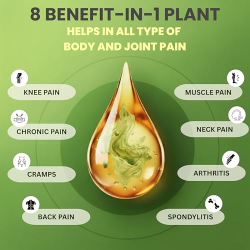 Image of Pain Relief Roll On 30ml, Pack of 3, Herbal Joint and Body Pain Reliever with Hemp Seed Oil