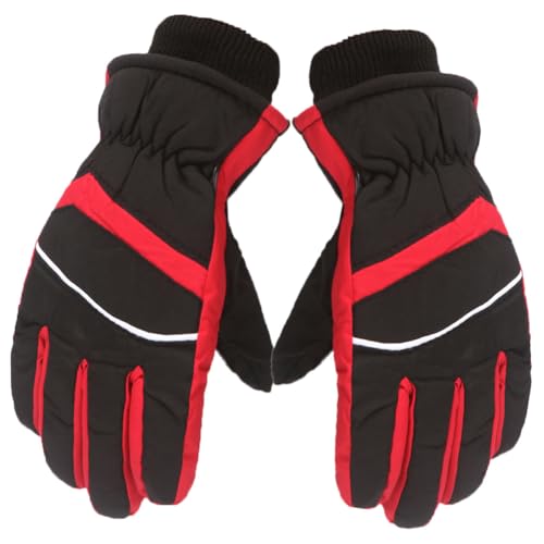 [Wapik] �h�� ��� �q�� �h�� ���� �X�L�[�O���[�u �L�b�Y �X�m�[��� �ĂԂ��� �q�ǂ� �~�p �h�� �h���� �ۉ� �h�� ���� ���N�� �j�̎q ���̎q �����ӂ� �X�m�[�{�[�h �O���[�u ����V�� �� �ʊw �o�R ���]�� �A�E�g�h�A �W���j�A