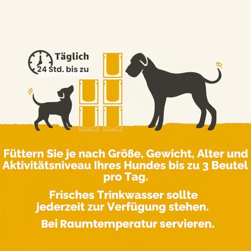 Applaws Premium Natural Nassfutter für Hunde, getreidefreies Huhn mit Gemüse in Sauce, Topping für Hunde 12 x 85g Packung