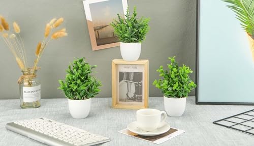 Image of Dekorly Artificial Plants Small Fake Potted Plants, Mini Eucalyptus Potted Faux Decorative Grass Plant with White Pot for Home Decor, Indoor, Office, Desk, Shelf, Table Decoration (Green-5)