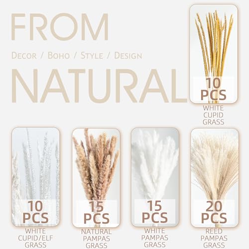 70PCS Natural Dried Pampas Grass Boho Home Decor Bouquet Phragmites Dried Flowers Bouquet for Wedding Floral Arrangements Home Decorations (70PCS) - Image 5