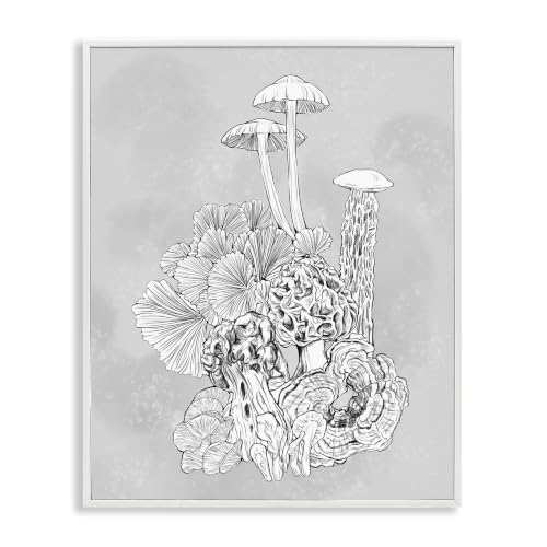 Botanical Mushroom Plant Study, 11 x 14 Inch Framed Giclée Print