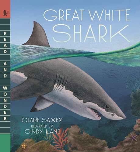 Great White Shark: Read And Wonder