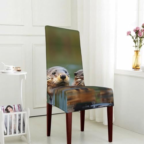 Housse de chaise salle a manger extensible motif loutre - 5