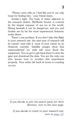 Antarctica! (Choose Your Own Adventure) - Image 4