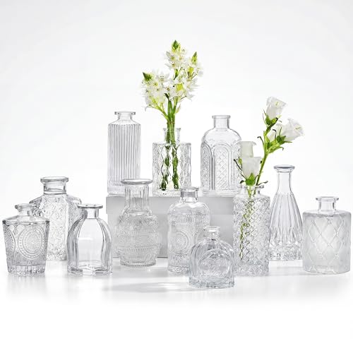 Glass Bud Vases Set of 12, Small Vases for...