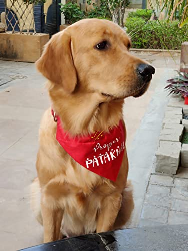 Image of Quirky Dog Bandana: Proper Patakha Bandana for Pets | Easy to Wear Slip On Dog Bandana