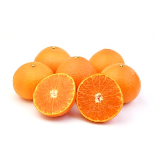 希望の島 プリマドンナ 家庭用 サイズ込 紅プリンセスと同品種 愛媛 中島産 紅まどんなと甘平を交配 みかん 愛果48号 愛媛果試第48号 はるあいか (2kg)