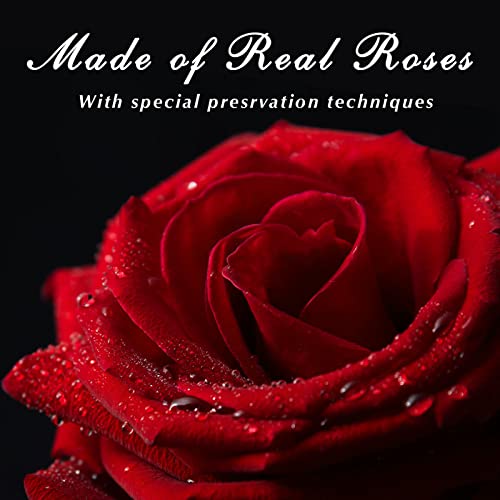 Childom Birthday Gifts For Women, Preserved Real Roses For Her, Real Roses Flower For Mom From Daughter Son, Preserved Flowers In A Box Long Lasting Rose Gifts For Mom,Women, Wife, Grandma #TOP1