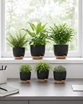 Bamworld 6 Pack Indoor Plant Pots Shelf Watering Planters for Indoor Plants with Drainage Hole Plastic Plant Pot for Home Gardening Containers(Black)