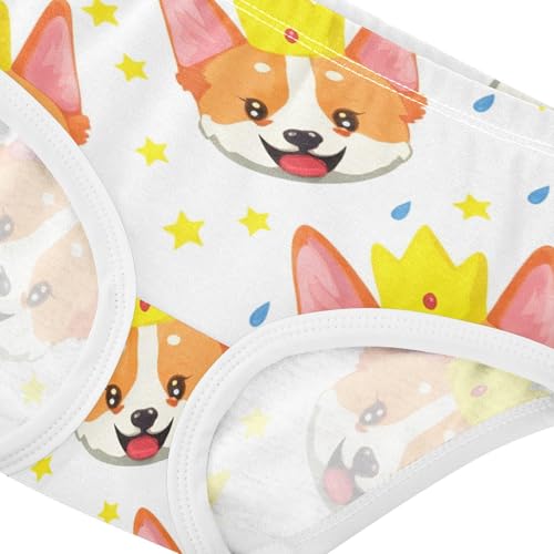 Cute Cartoon Corgi Dog Puppy Toddler Underwear Floral 2t Cotton Panties for Girl Animals Briefs Undies Kids4