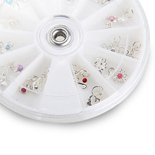 Compre show Ruota 24 Piercing Strass RICOSTRUZIONE...