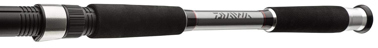Daiwa Seahunter X VARIOTIP Salzwasser-Rute für Surfcasting, leicht, 3,0 m/150 g