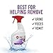 Hoover Pet Pre-Treat Spot and Stain Remover Spray, 22 oz., Pet Formula for Carpet and Upholstery, Tackles Tough Pet Messes and Stains, Pair Carpet or Spot Cleaner