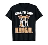 Ritratto di Kangal. I proprietari di cani Kangal lo sanno quando il pelo del cane è ovunque. Idea per gli amanti dei cuccioli di kangal per tutti coloro che hanno un pastore kangal.