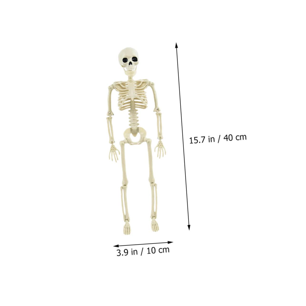 Alasum 5pezzi Scheletro Decorativo Mobile Per Halloween Scheletro Realistico Per e Decorazioni Per e