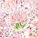 50Pcs Clear Watercolor Flower Stickers Waterproof Vinyl Aesthetic Decals for Water Bottles Laptops Skateboards Luggage Helmets Bikes and Phones Teens Adults and Floral Fans