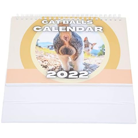 XINL 2022 Desk calendar, Parody Cat decoration New Year's gift Small Desk calendar 2022 for the home office Cover