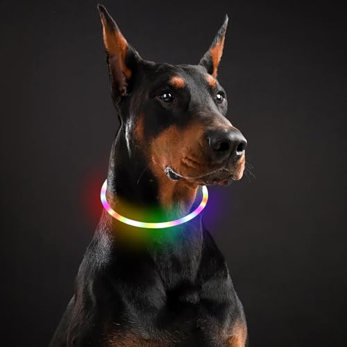 Hundehalsband Mit Strasssteinen – Aus PU-Leder, Größe S (18-25 Cm Halsumfang), Weiß