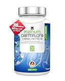 Sonnesee Premium Darmflora Komplex 120 Kapseln mit 50 Mrd. KBE & 38 Stämmen Hochdosiert – 4 Monate Vorrat Mit Zink, B3, B6 & B7 Vegan