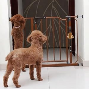 Doorbell,Fastened Steel Canine Doorbell,Handbook Assemble Wall Mounted Canine Door Bell for Housetraining Door Bell/Potty Coaching/When coming into The home (Black) Doorbell,Fastened Steel Canine Doorbell,Handbook Assemble Wall Mounted Canine Door Bell for Housetraining Door Bell/Potty Coaching/When coming into The home (Black)