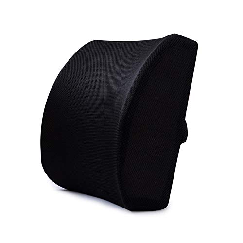 YOOMEISHALY Memory Foam Back Cushion with 3D Mesh Cover Used to Relieve Lumbar Pain Back Pillow Support for Car Seat, Work/Office Chair, Recliner Etc. (Black)