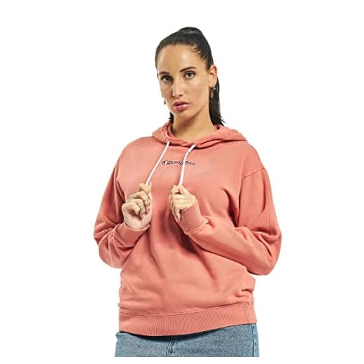 Champion dam hoodies Rochester