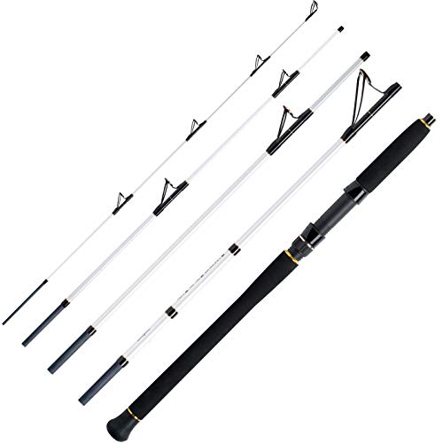 WFT Salzmeister Köhler Jigger 2,65m 25-120g 5pc.