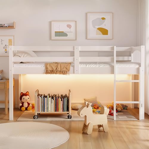 BabyVista Kids Low Loft Bed Full Size, Solid Wood Loft Bed Frame with USB Power Outlet and 20-Color LED Lights, Safe Guardrails Ladder, Space-Saving Full Loft Bed for Kids Bedroom Play Storage (Full)