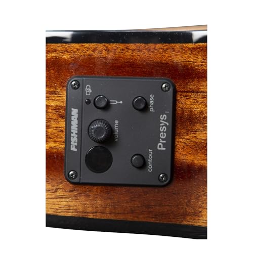 Breedlove DSCN44CERCAM Eco Discovery S Concert Ce Acoustic-Electric Guitar thumb #7